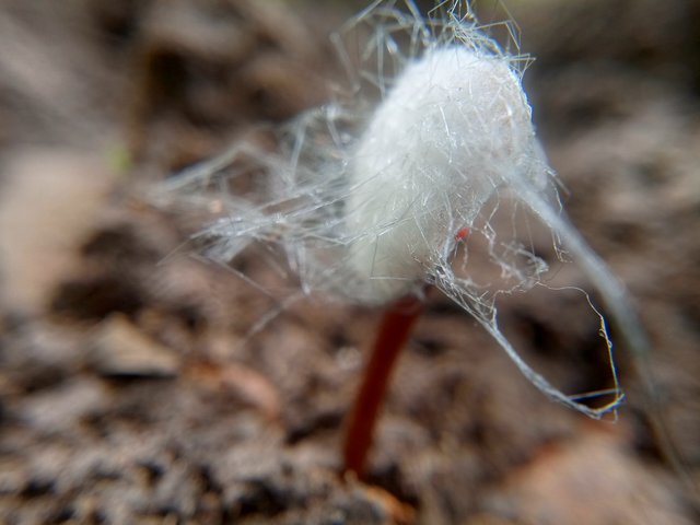 IMG20220306142828.jpg