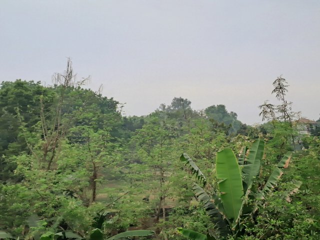 20250320_150448.jpg
