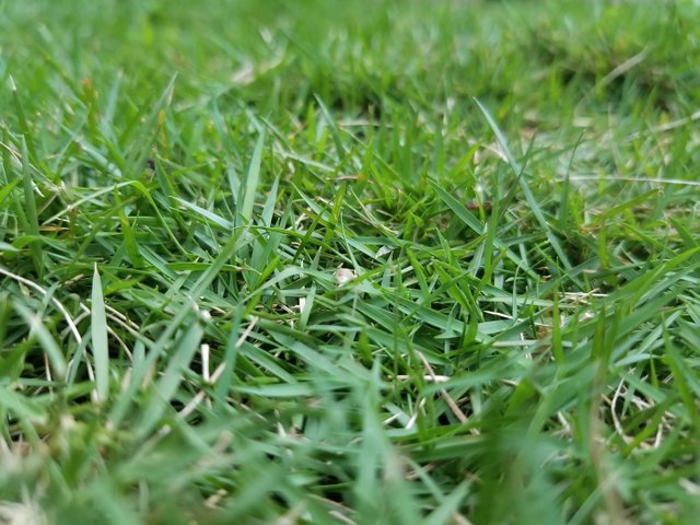 20250621_181428.jpg