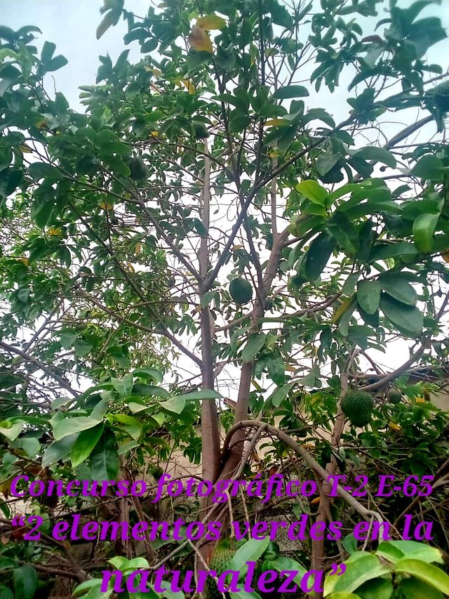 20250408_201151.jpg