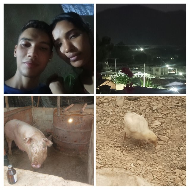 20250225_194616-COLLAGE.jpg