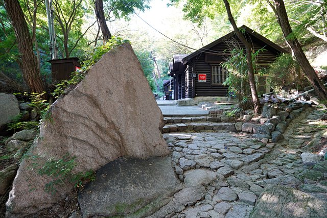 b-DSC01928.JPG