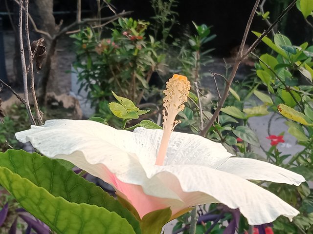 IMG20250503180041.jpg