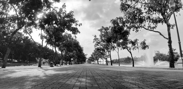 Samsung A9 - King Rama IX Park - Oct 2019 351.jpg