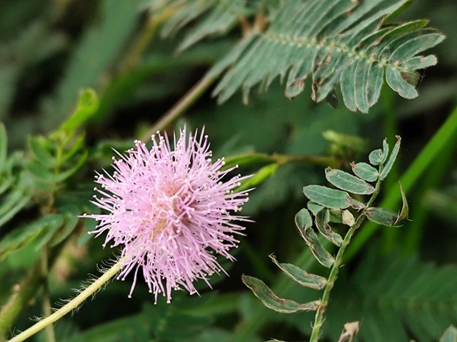 IMG_20250516_112752.jpg