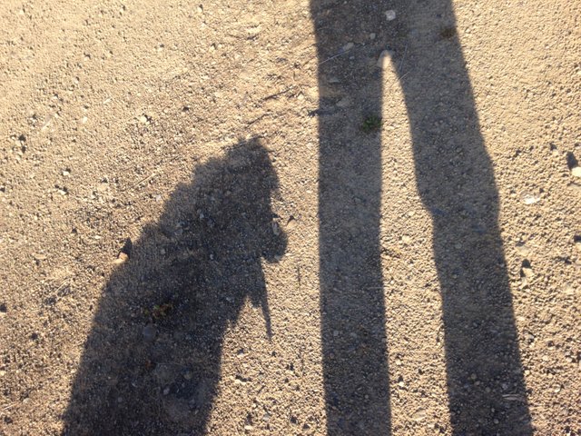 me and my shadow.JPG