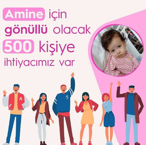 amine başlık.PNG