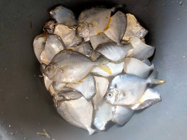 IMG20250528151223.jpg