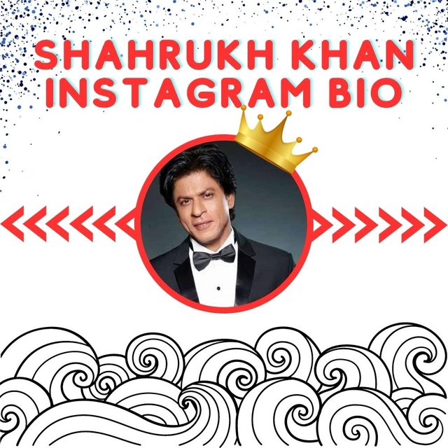 Shahrukh khan Insta Bio.jpg