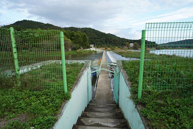 b-DSC05819.JPG