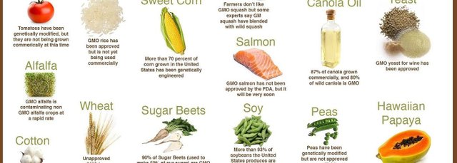 gmo-Foods-Infographic-1400x500.jpg