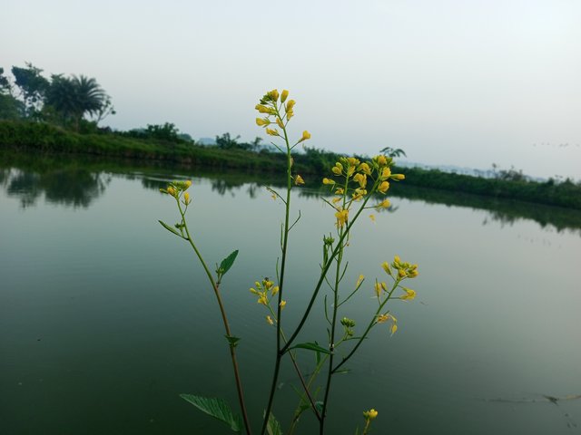 IMG_20231121_071947_892.jpg