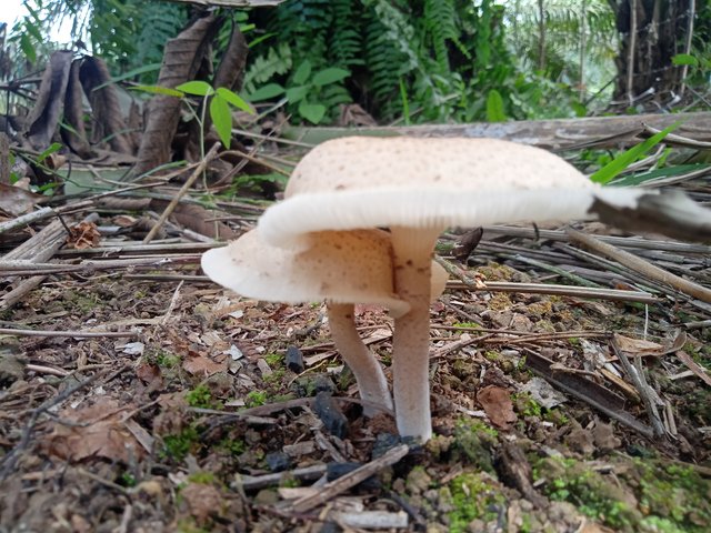 IMG20220713102305.jpg