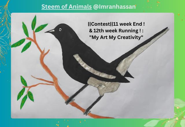 Steem of Animals @Imranhassan (5).png