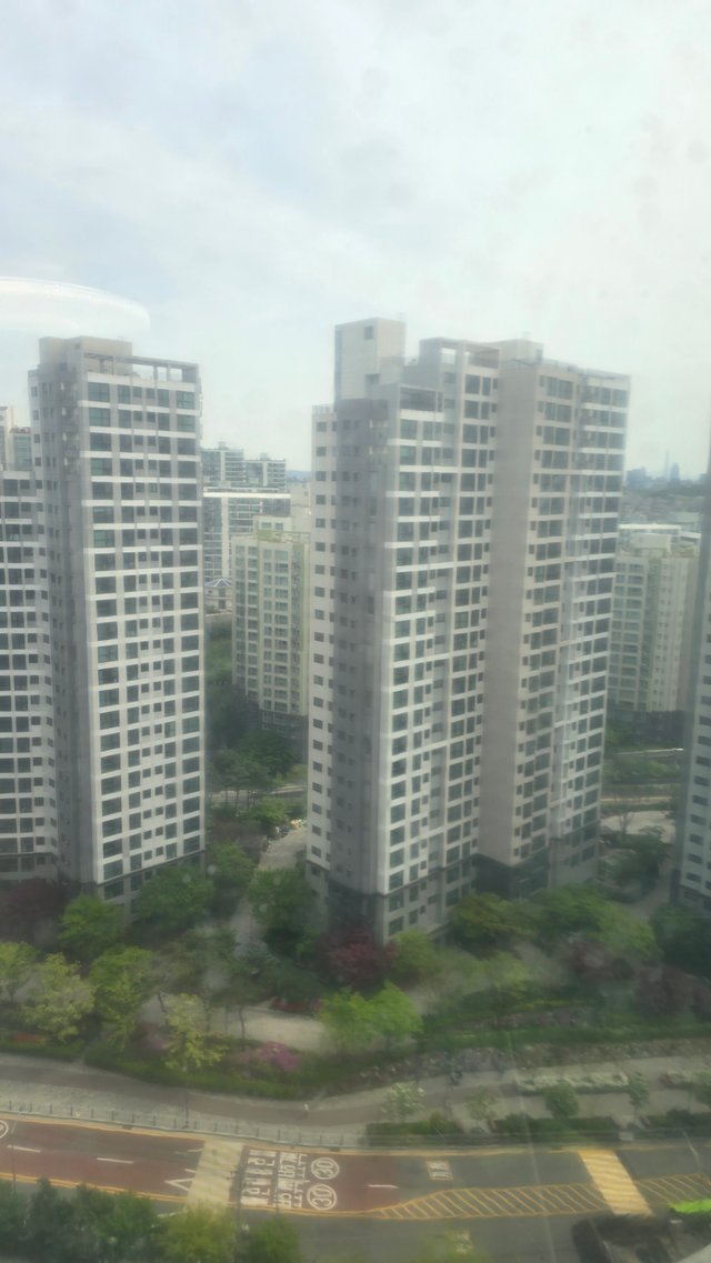 1000121725.jpg