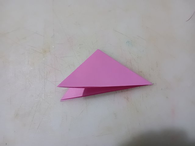 1000050981.jpg