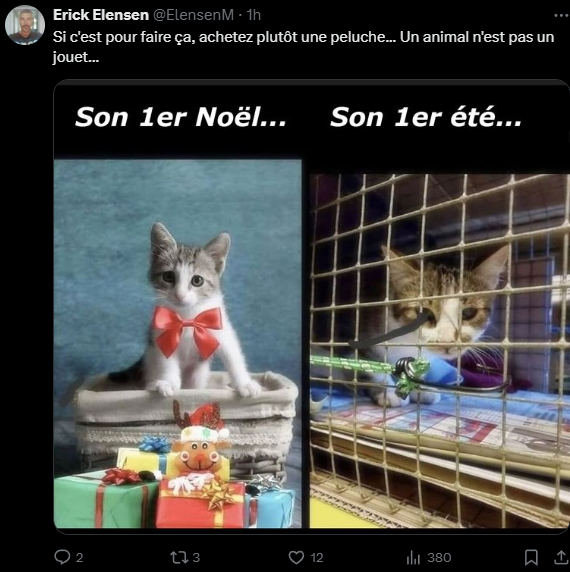 Capture d’écran 2025-07-26 171013.png