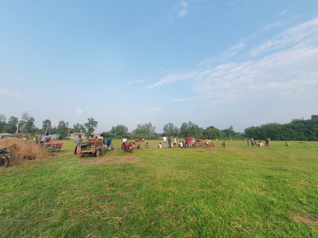 2488.jpg