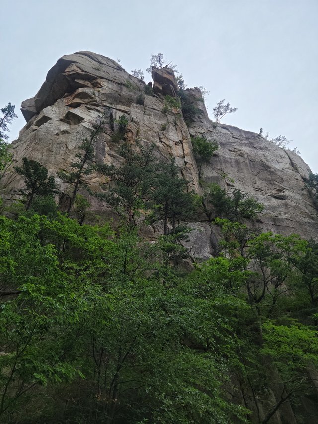 KakaoTalk_20250622_092101315_07.jpg