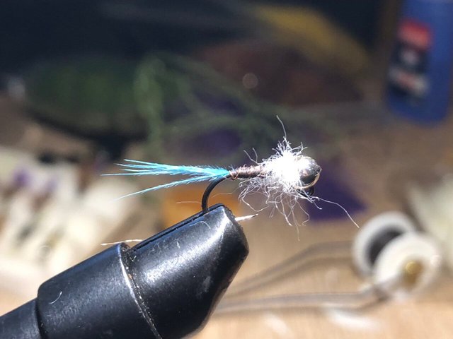 nymph.jpg