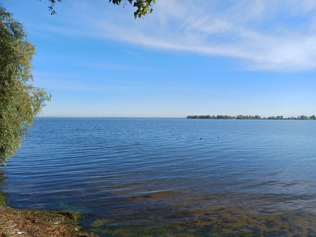 20250927_095745.jpg
