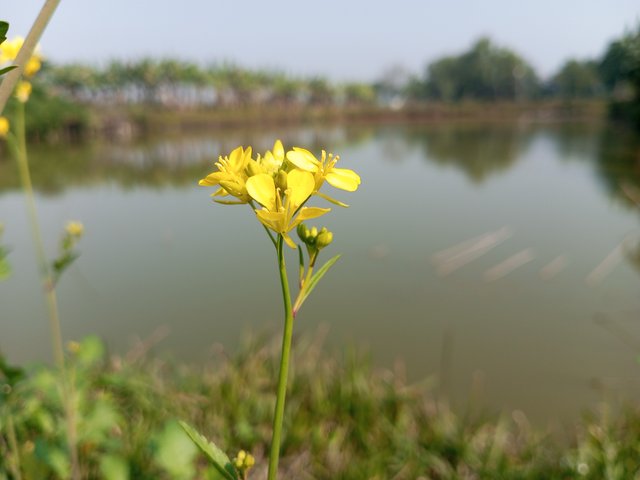 IMG_20240113_133827_276.jpg
