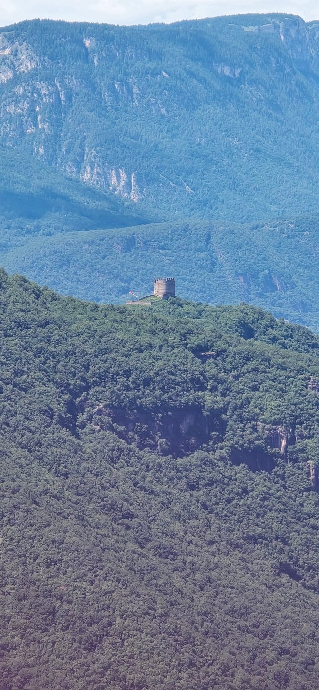 20250709_144033.jpg