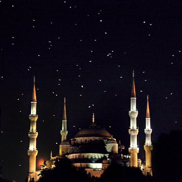 the_blue_mosque_at_night_by_dozzyexplorer-d52xlfi.jpg