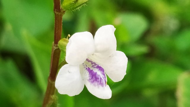 IMG_20250925_160525.jpg