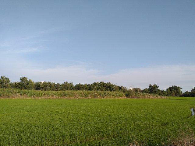 countryside view9.jpg