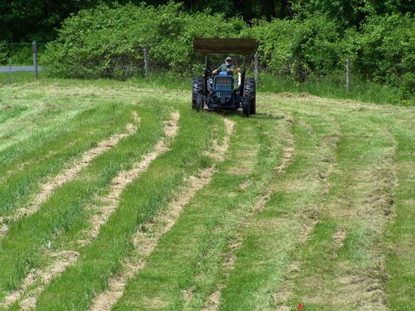 David mowing front pasture2 crop June 2019.jpg