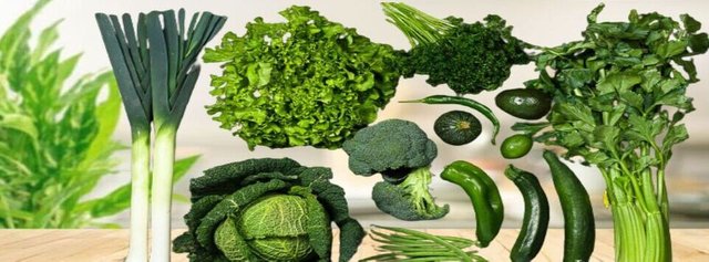 Leafy_Green_Vegetables-10 Best Foods for Diabetes.jpg