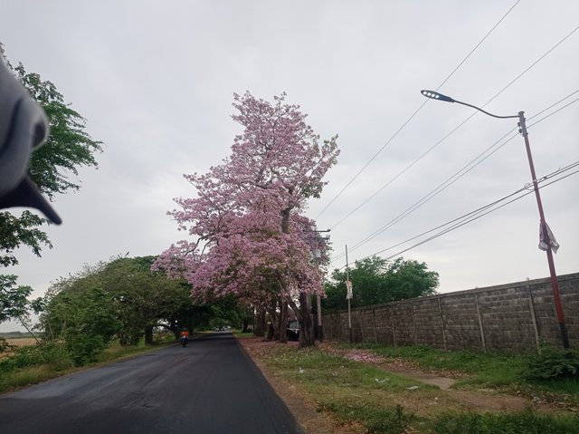 IMG_20250405_083956.jpg