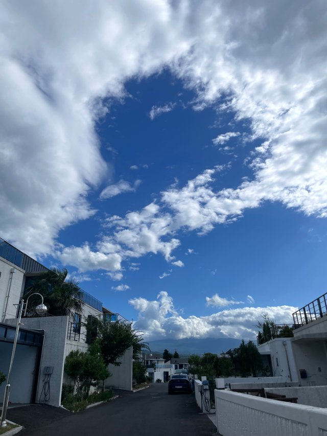 IMG_1132.jpeg