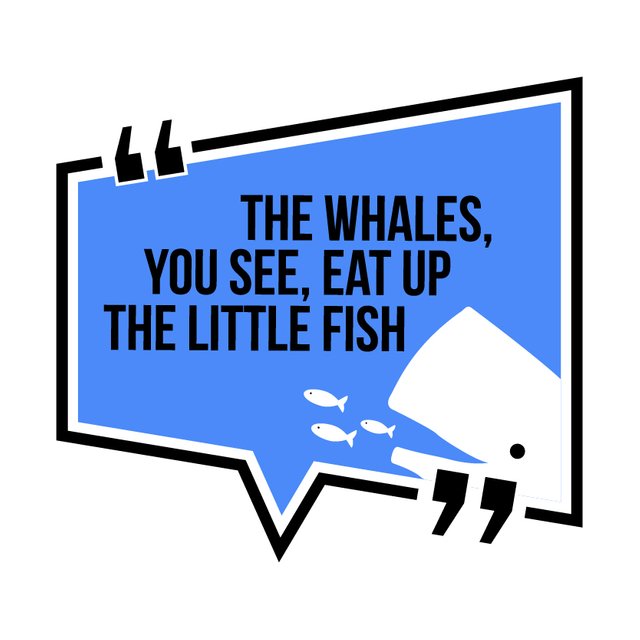 whales1st.jpg