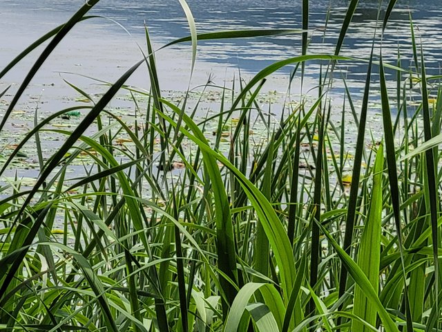 20210708_150725.jpg