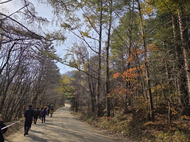 카카오스토리_2025_11_01 23_50_33.jpg