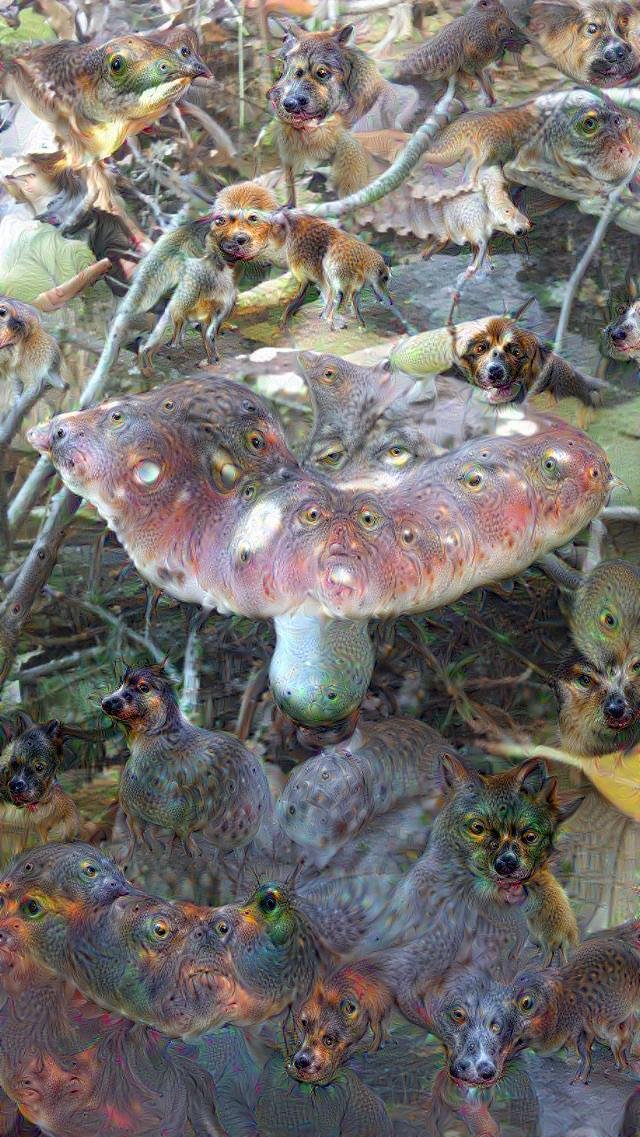 red-white-mushroom.jpg