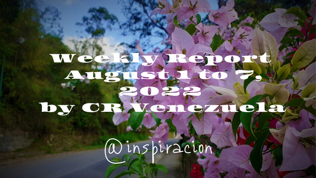 Weekly Report August 1 to 7, 2022 by CR Venezuela (2).png