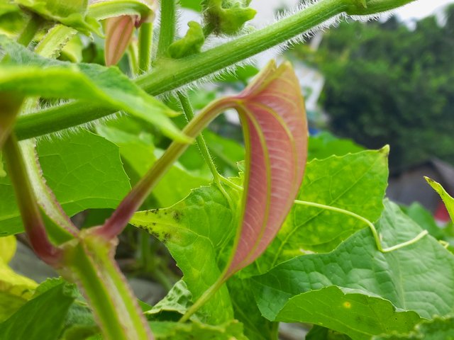 20230823_115555.jpg