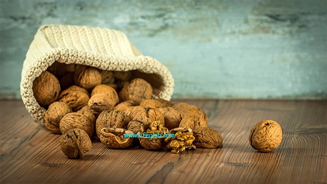walnut eng 3.jpg
