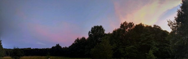 20180811_204809-PANO.jpg