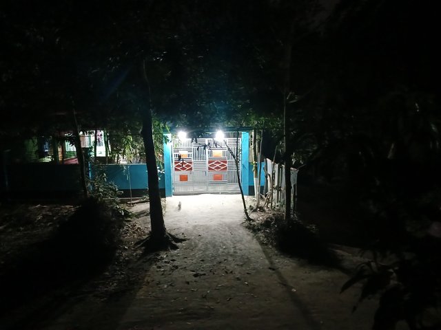20250311_201242.jpg