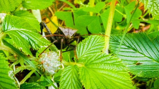 IMG_20250510_115008_653.jpg