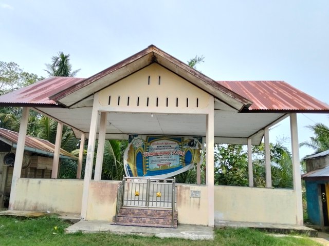 4594.jpg