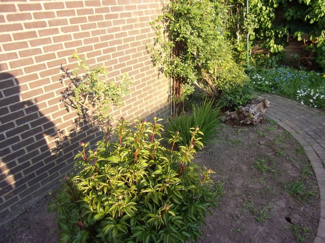 100_2593.JPG