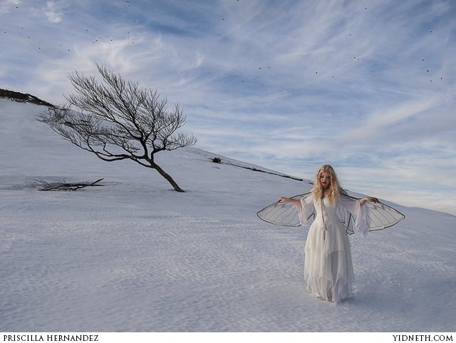 snow fairy winter  - by priscilla Hernandez (yidneth.com)-6.jpg