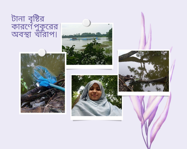 Neutral Minimalist Romantic Photo Collage (3).png