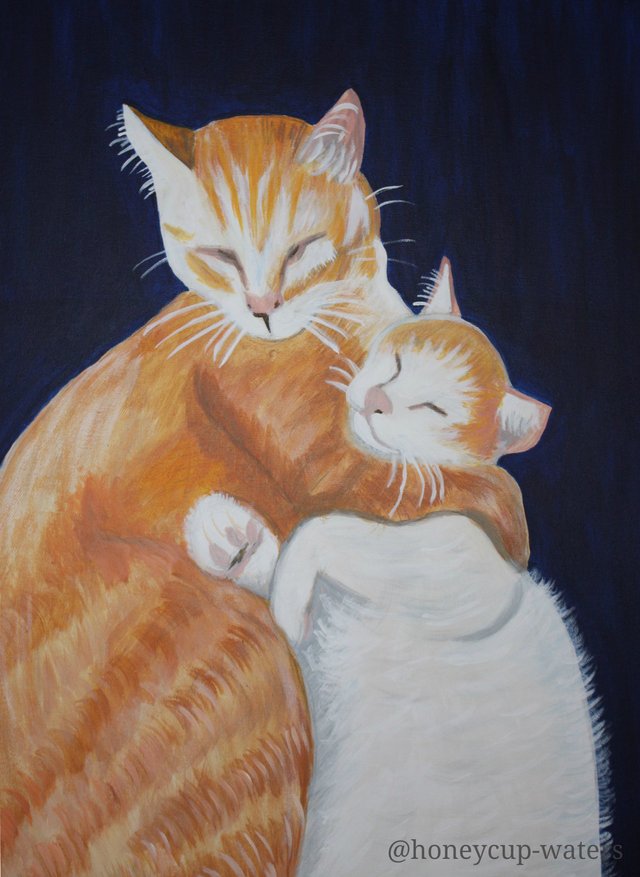 2 cats hugging.jpg