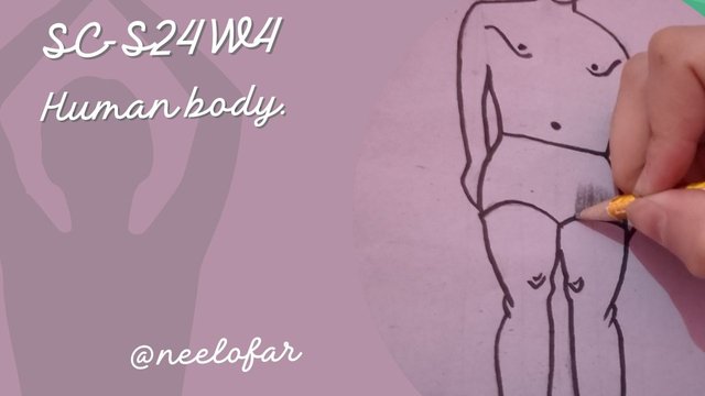 Green and White Modern Full Body Yoga YouTube Thumbnail_20250518_221903_0000.jpg